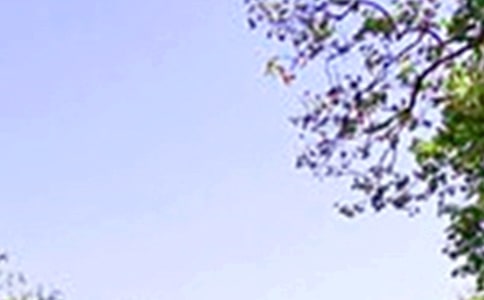 ���^�ĺ�̎ ���糣���@��(d��ng)���ܾ���ƣ��