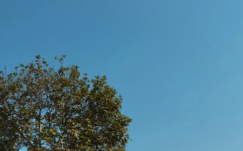 ����l(f��)���f�f