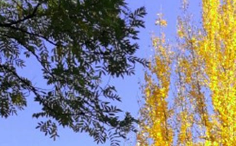 ����Ć����Z