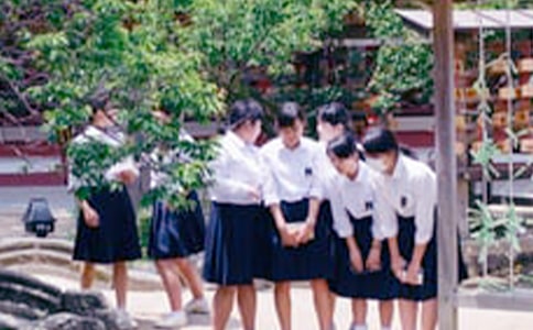 �ЌW(xu��)������Ʒ���О���������ؼ��C������