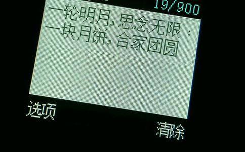 ����ף������