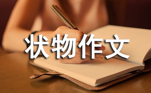 �ɐ�(��i)��С�u_��������