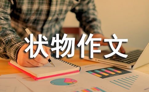 ���Р������ģ����~