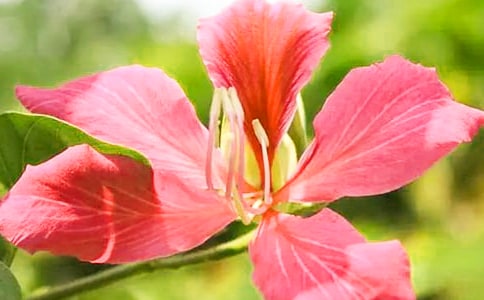 ���G��_300��