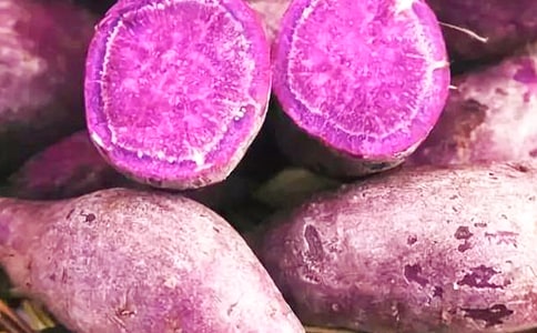 ���������S���� �ճ�����������������