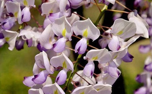 �P(gu��n)�����ٻ�����3ƪ