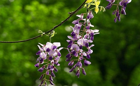 ���ٻ�������