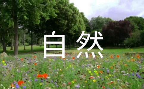 自然博物館個(gè)人觀后感