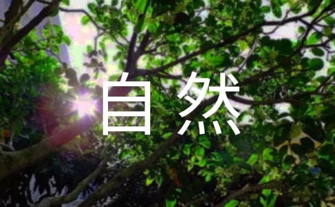 �茑��Ȼ�L(f��ng)����~�Z