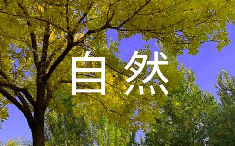 自然現(xiàn)象諺語(yǔ)優(yōu)秀