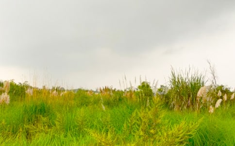 ���M���C�Ĵ����x���