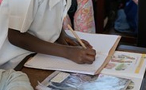 沒有電的日子作文