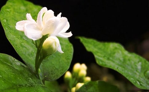 ����������[����]