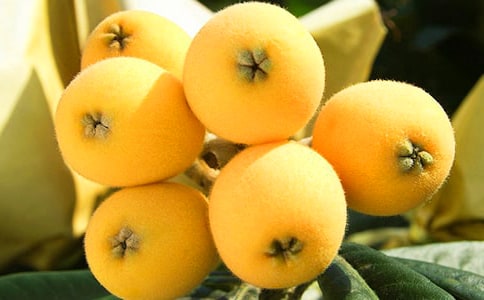 ���˵�����[���T]