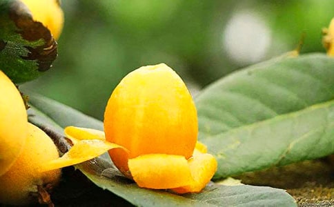 ���˵�����[��]