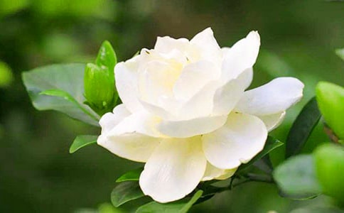 �d�ӻ��_���ļ��ϣ�15ƪ��