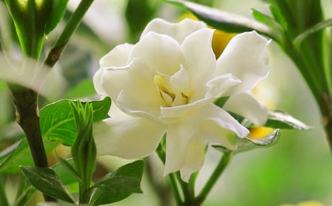 �d�ӻ��_����15ƪ(��)