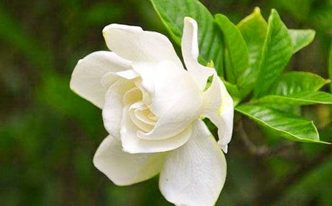 �d�ӻ��_���Ľ�(j��ng)��(15ƪ)