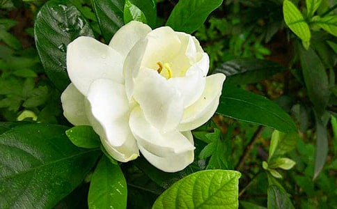 �����ϡ��d�ӻ�������33ƪ