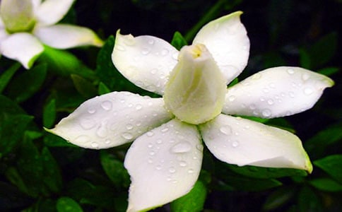 ���ᣩ�d�ӻ��_����