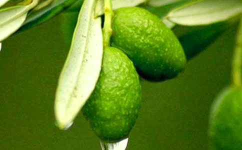 ���|�̳Ǿܽ^�֠����ع���1 ̖(h��o)����˫@���֠����ϙ�֦������ô����