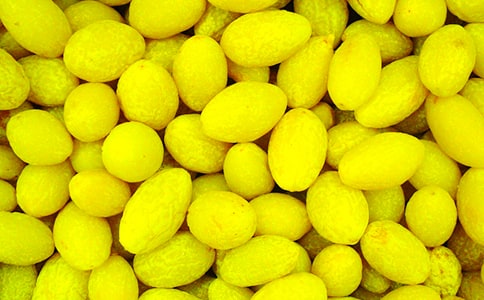 ���]����Ҳ��^(gu��)һö���ϙ�����