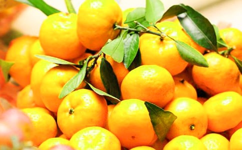 ժ��������(����)