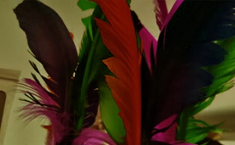 ��W(xu��)������\��(bi��o)ِ���Y(ji��)