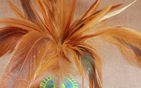 毽球聯(lián)賽年度工作總結