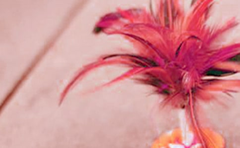 ���f(xi��)��(hu��)��Ո(q��ng)��