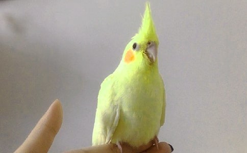 (��(j��ng)��)��Ƥ�W�^����32ƪ