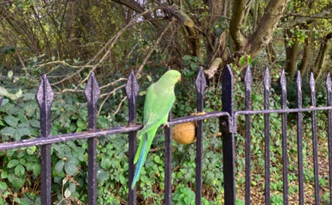 (����)��Ƥ�W�^����15ƪ