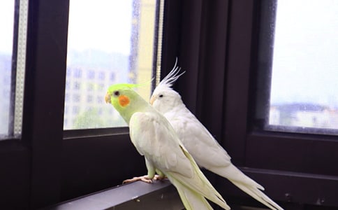 ԁ�W�^ԭ�ļ��p��