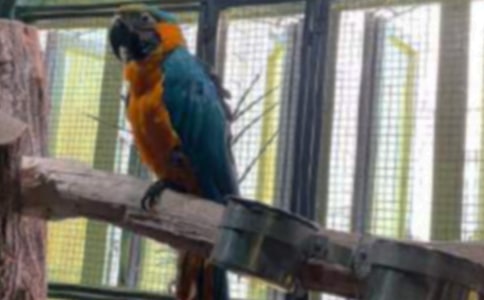 �W�^�\���Ĺ���