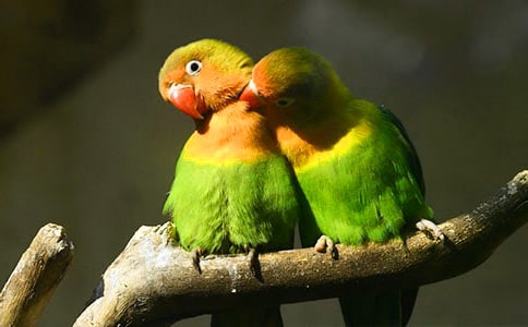 (��(sh��)��)�ҵĻ�Ƥ�W�^����