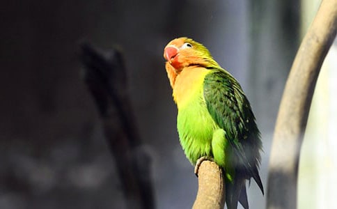 �ҵ��W�^����[��(y��u)�x]