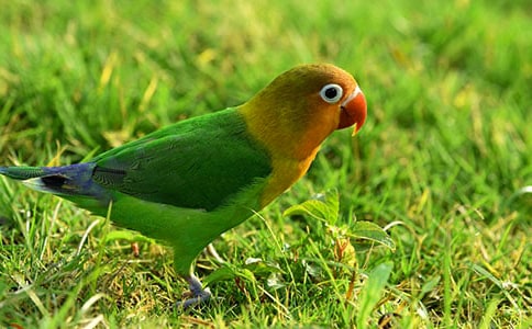 ��Ƥ�W�^���ģ��R��15ƪ��