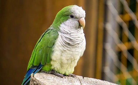 �Ҽҵ�С�W�^����[ͨ��15ƪ]