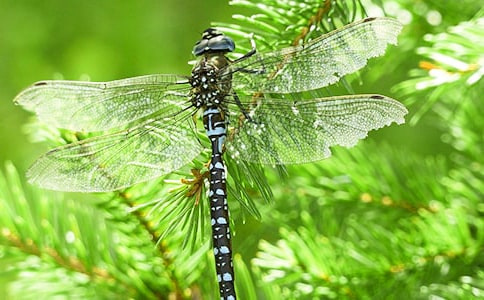 ���ϼ���׽��������15ƪ