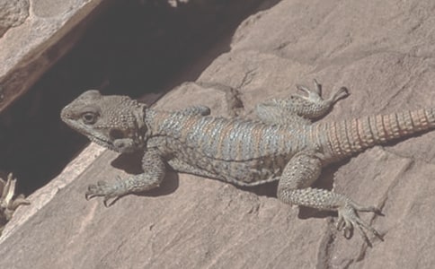 �ƌW(xu��)С����50�֣���������