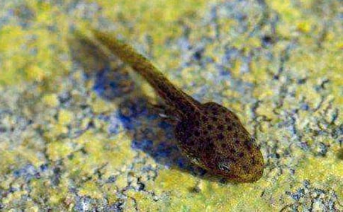 ׽������ĺϼ���15ƪ��