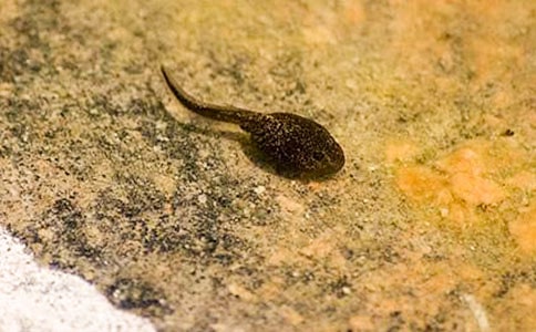 ����(j��ng)�䡿����С�������16ƪ