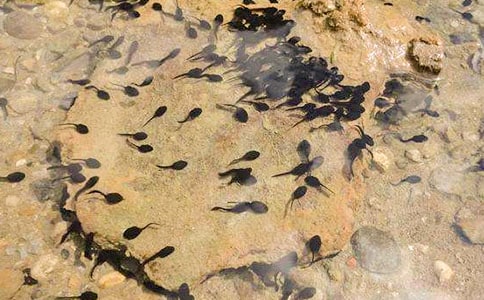 С�������(��(sh��)��)