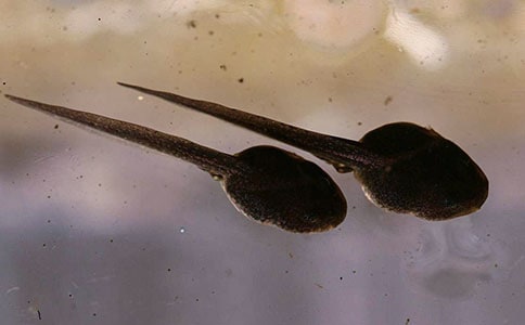 ׽�������[��(j��ng)��15ƪ]