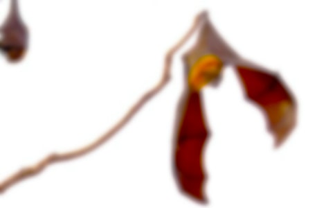 �������c���_(d��)���̌W(xu��)��(sh��)䛽�(j��ng)�䡾5ƪ��