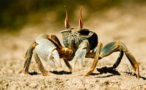 �зԁԭ�ļ��p��