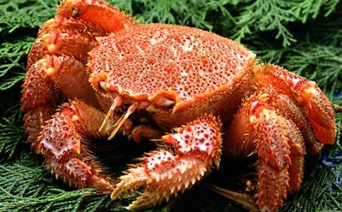 ׽�з����[�]]