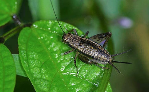 (�])׽������