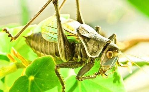 ���סլ�ڶ��n�r�u�n�巶�ģ����x10ƪ��