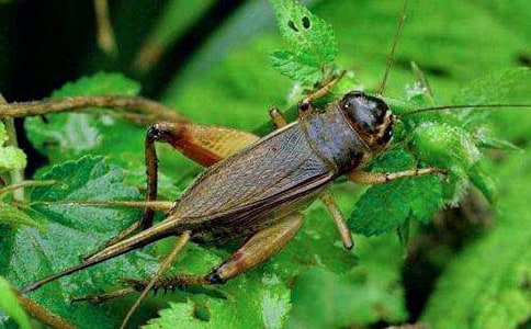 �����T��׽������